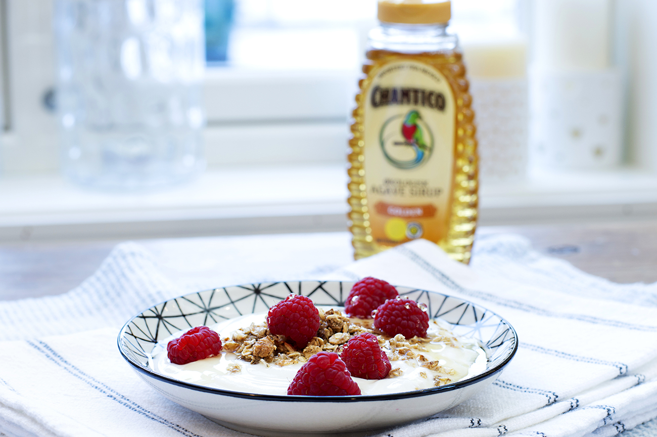 yoghurt-med-baer-og-agavesirup-3
